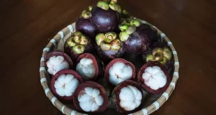 keranjang manggis