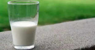 susu sterilisasi