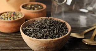 daun teh