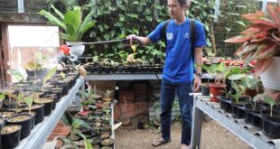 Petani Milenial 2024